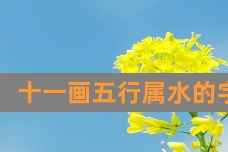 心十一笔是什么字