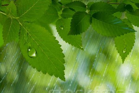 大雨落在田地上猜一字