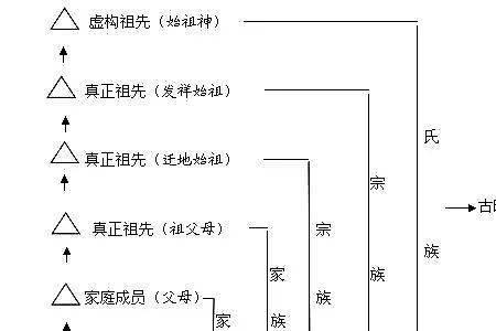 王姓血统特征