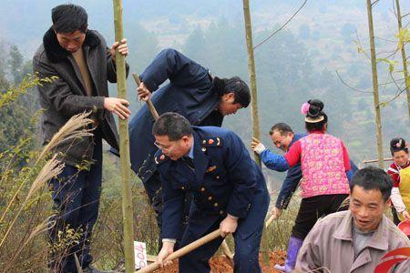 个体工商户可以注册绿化种植吗