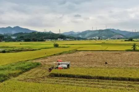 惠州雨季会持续多久。大概几月份