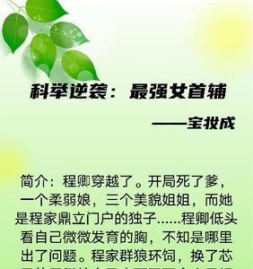 类似公子璟科举的穿越小说