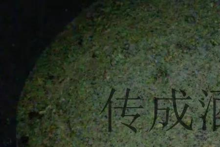 酿果酒加了酒曲还用加白酒吗