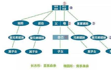 表亲是法律意义上的直系亲属吗