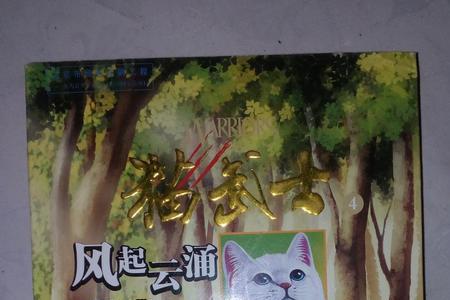 猫武士沙风咋死的