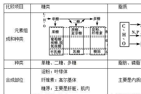 syn线核算是什么