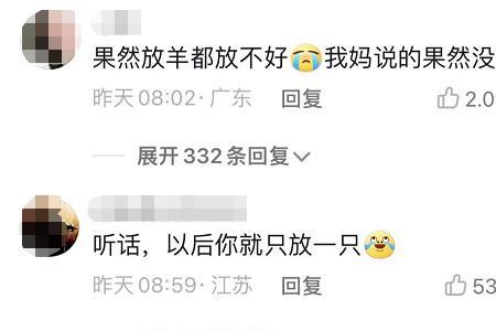 我的羊丢了什么意思