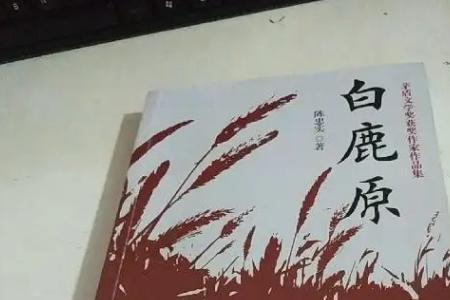 白鹿原原著小说多少字