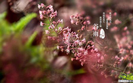 谷雨到立夏之间是什么季节