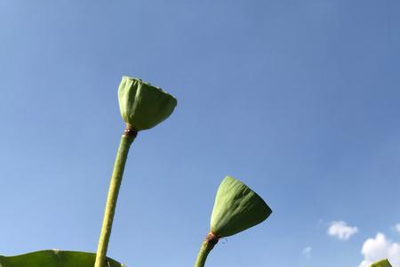 一念天地阔心静万事轻的意思