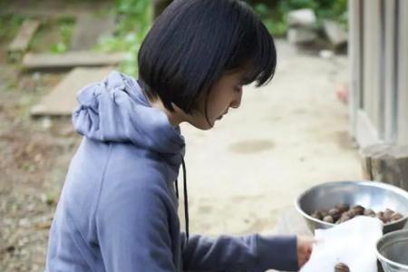 两个人的小森林下雨第几集