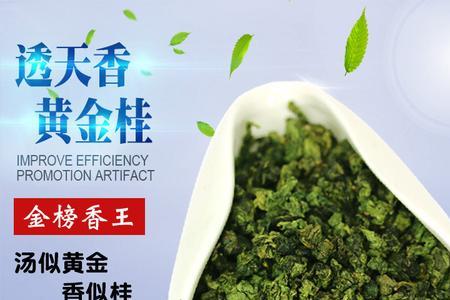 黄金桂茶劲大吗