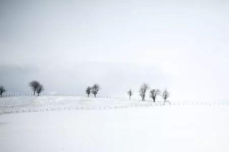 怎样把白雪比喻成白头