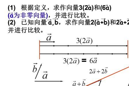 一个数算向量吗