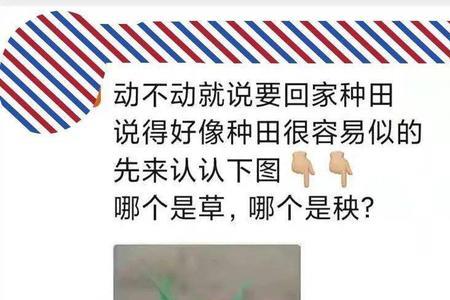 我爸是种田好手什么意思