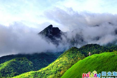 鹦哥岭风景区开放吗