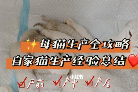 猫生产胞衣一定要母猫吃掉吗