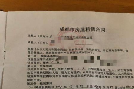 本年度无房租赁已提取什么意思