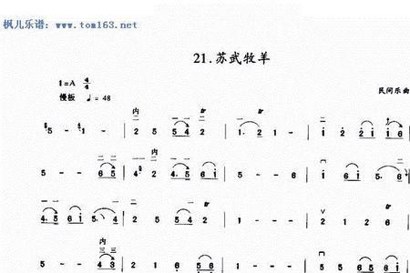 苏武牧羊二胡独奏定弦