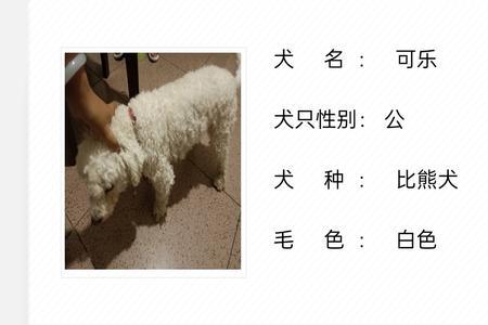 电子犬证和实体犬证的区别