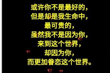 我有多么爱你什么意思