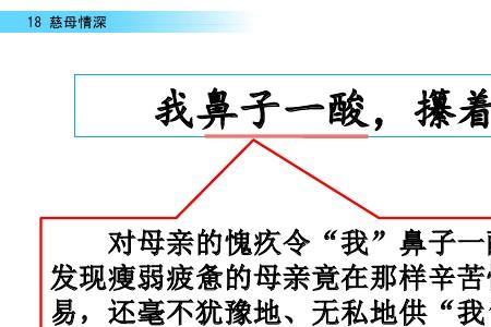 慈母情深主要写了什么