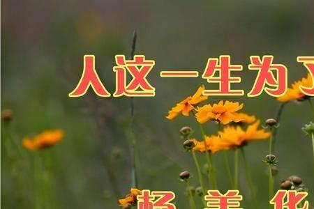 这一生原唱现场