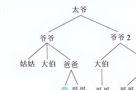 三代血缘是指哪三代