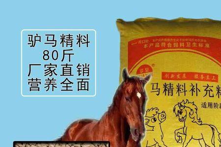 马一天吃几斤精料