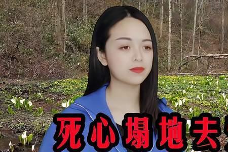 死心塌地去爱你原唱听后感受