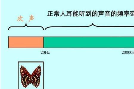 公交车声音最大多少分贝