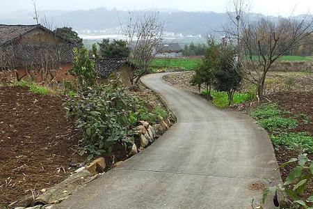 村道和村内道路区别