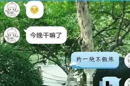 你挺我是什么意思