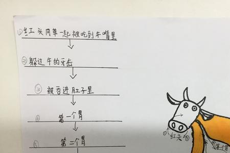 青头又跳到牛身上用怎样的语气