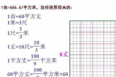 一标亩是多少分地