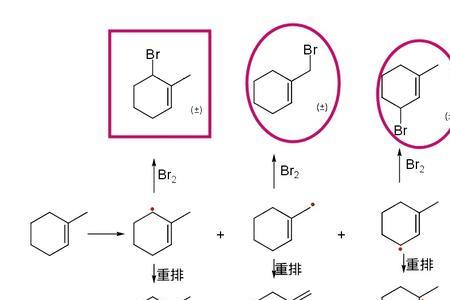 nbs是什么公式