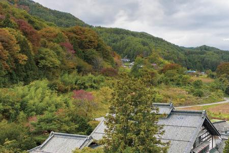 日本松本市冬天温度