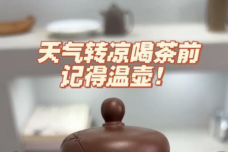 为啥用壶对嘴喝茶