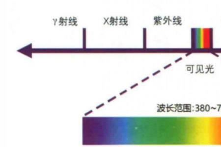 光的强弱会对物体产生什么影响