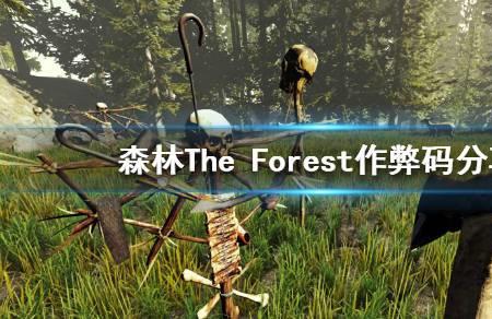 forest专业版是永久吗