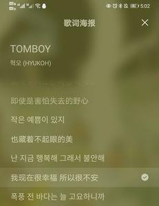 tomboy主题是什么