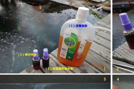 高锰酸钾可以连续给鱼用吗