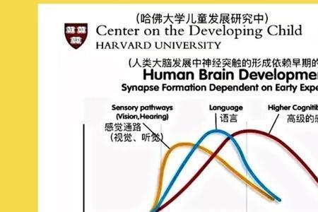 三年级分水岭现象成因与对策