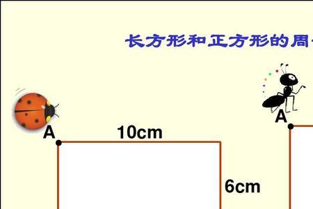 矩形和方形有什么区别