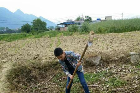 耕田种田度岁月下一句