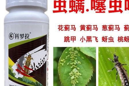 氟腈噻虫嗪杀啥虫效果好