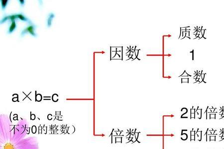 质数的真因子是什么