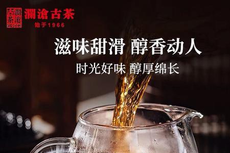 八壹金瓜普洱茶怎么样