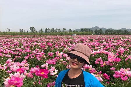 芍药园啥意思