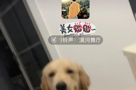 女生不接视频怎么回复